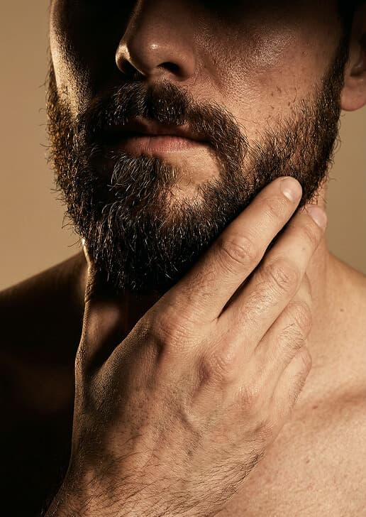 Transplantace vousů